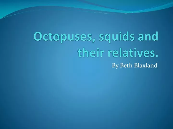 octopuses squids and their relatives
