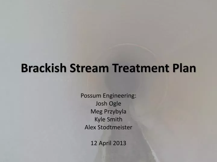 brackish stream treatment plan