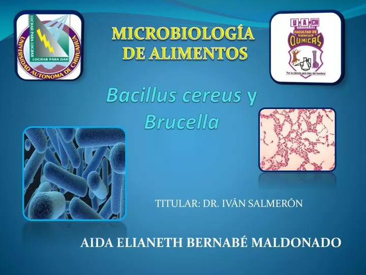 bacillus cereus y b rucella