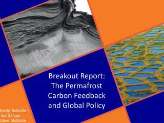 Breakout Report : The Permafrost Carbon Feedback and Global Policy