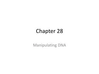 Chapter 28