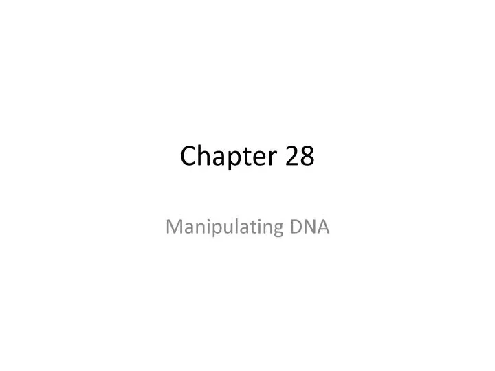 chapter 28