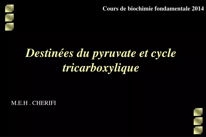 destin es du pyruvate et cycle tricarboxylique