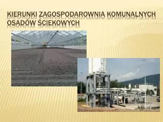kierunki zagospodarownia komunalnych osad w ciekowych