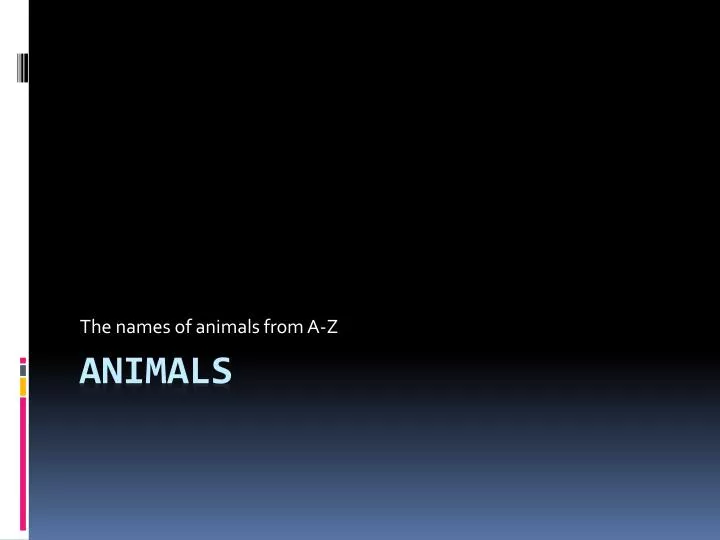 the names of animals from a z