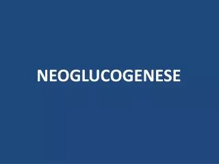neoglucogenese