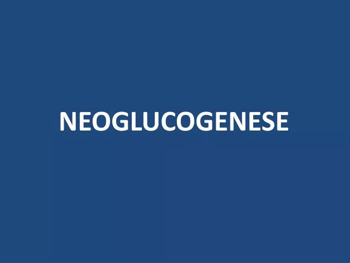 neoglucogenese