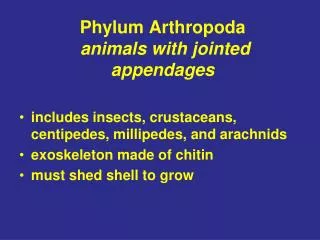 Phylum Arthropoda animals with jointed appendages
