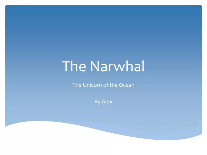 the narwhal