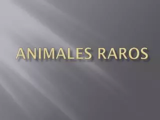 animales raros