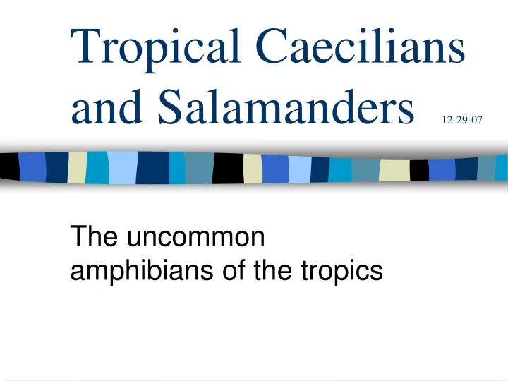 tropical caecilians and salamanders 12 29 07