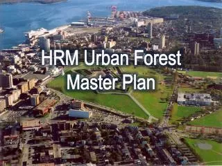 HRM Urban Forest Master Plan