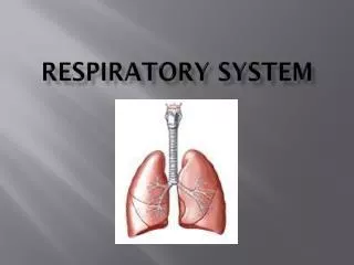 RESPIRATORY SYSTEM