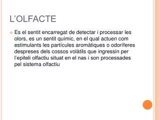l olfacte