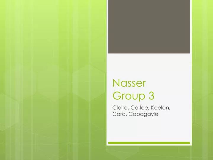 nasser group 3