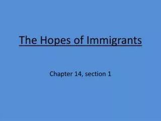 The Hopes of Immigrants