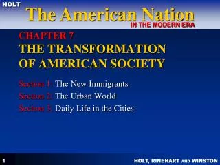 chapter 7 the transformation of american society