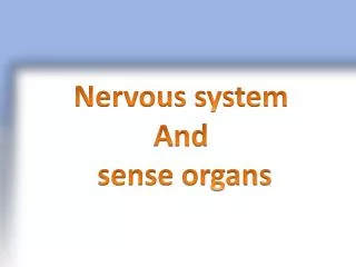 Nervous system And sense organs