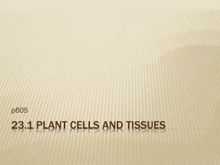 23.1 Plant Cells and Tissues