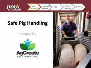 Safe Pig Handling