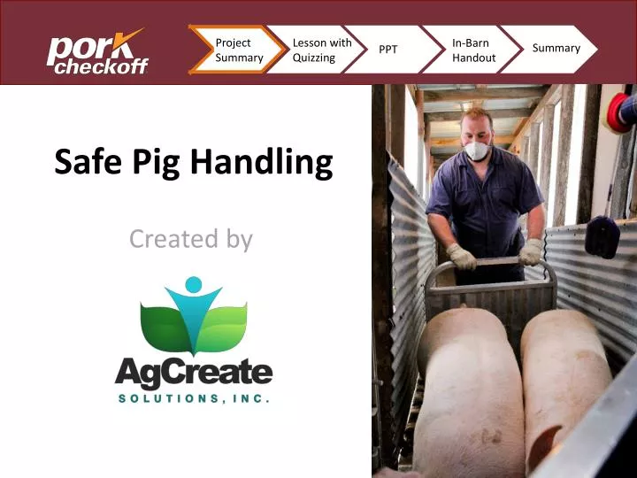 safe pig handling