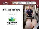 Safe Pig Handling - slide 1