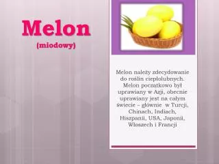 melon miodowy