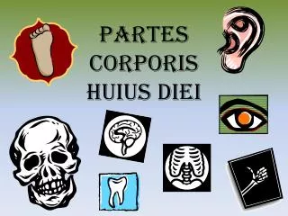 Partes Corporis Huius Diei