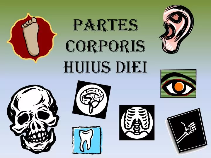 partes corporis huius diei