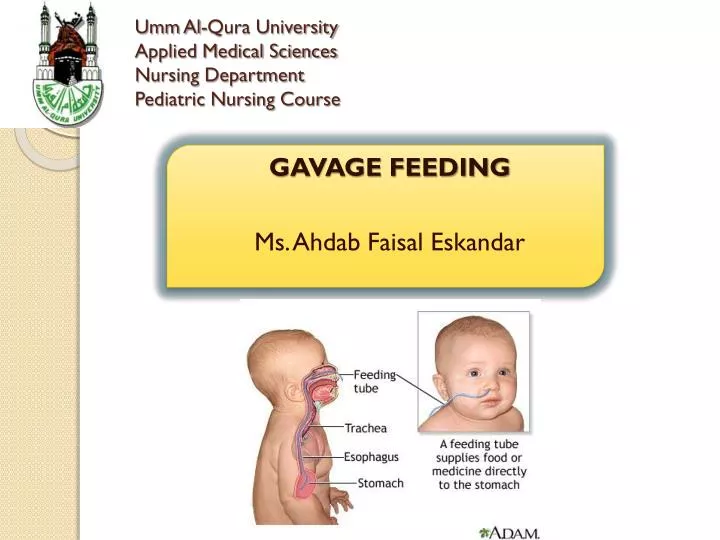 umm al qura university applied medical sciences nursing department pediatric nursing course