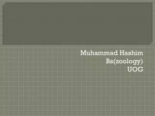 Muhammad Hashim Bs(zoology) UOG