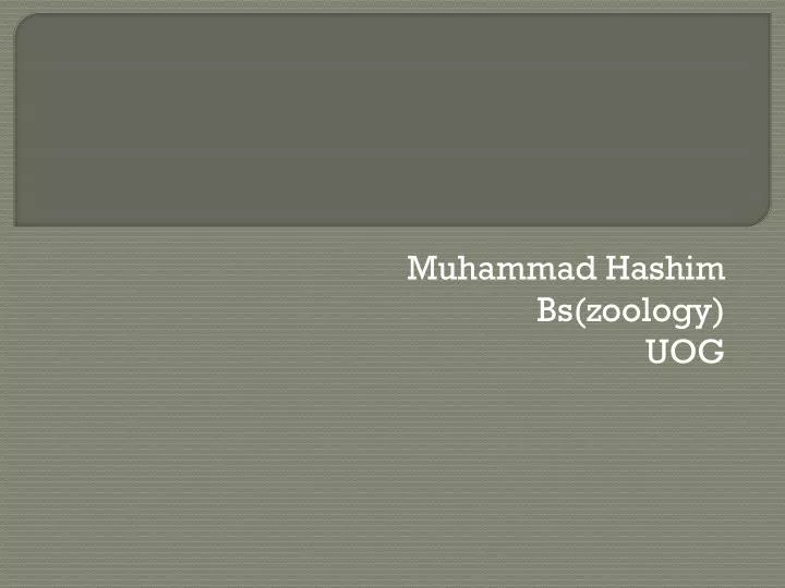 muhammad hashim bs zoology uog