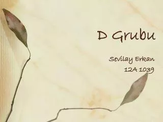 d grubu
