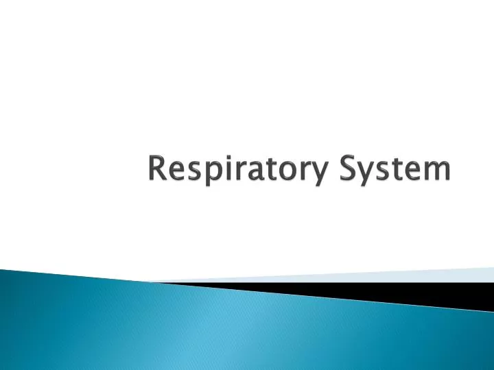 respiratory system