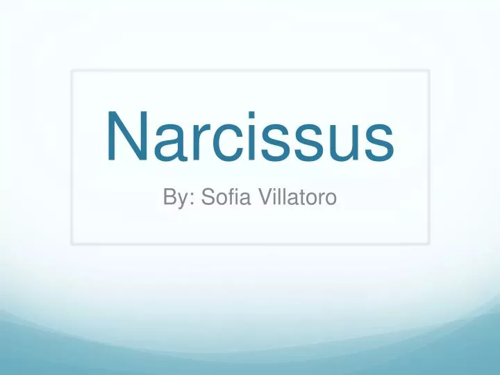 narcissus