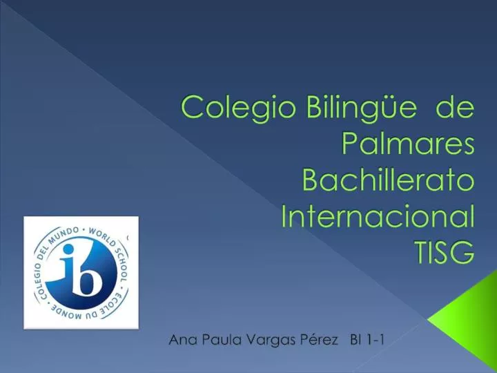 colegio biling e de palmares bachillerato internacional tisg