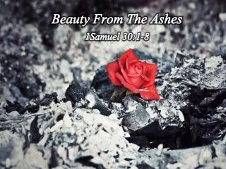 Beauty From The Ashes 1Samuel 30:1-8