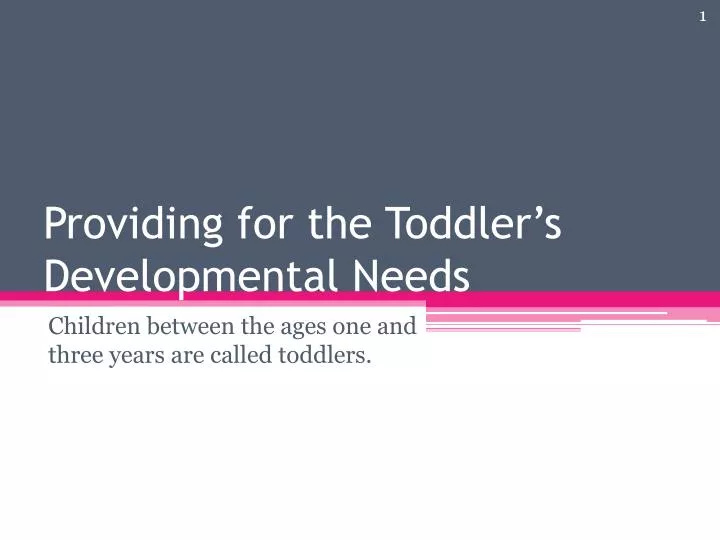 providing for the toddler s developmental needs