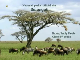 National park’s official site Serengeti