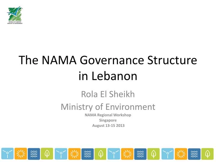 the nama governance structure in lebanon