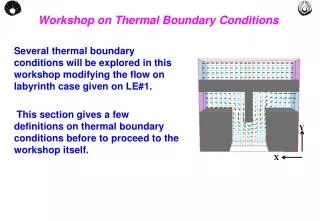 Workshop on Thermal Boundary Conditions