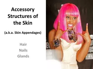 Accessory Structures of the Skin (a.k.a. Skin Appendages)