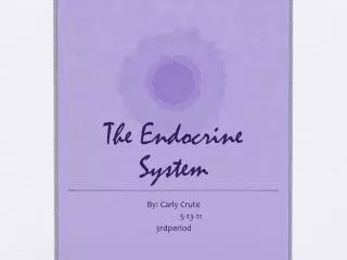 The Endocrine System