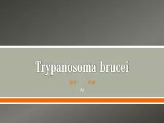 T rypanosoma brucei