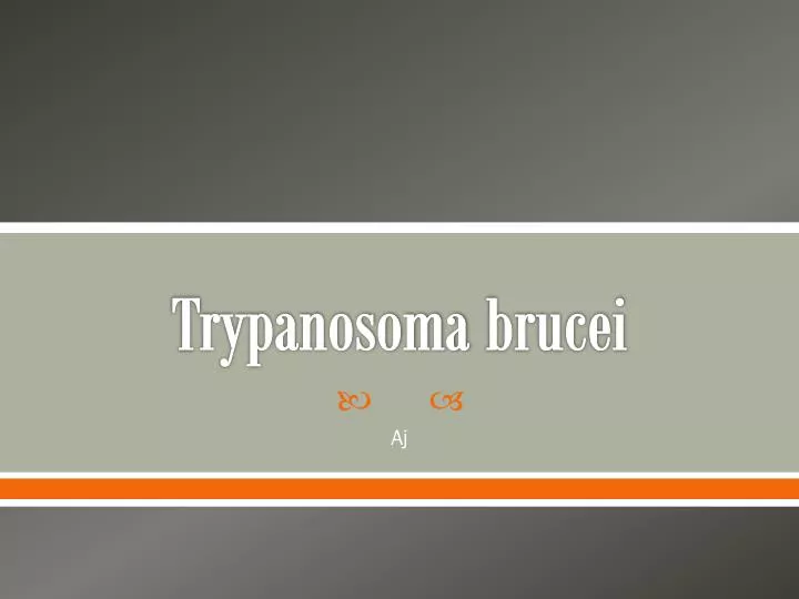 t rypanosoma brucei