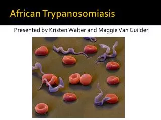African Trypanosomiasis