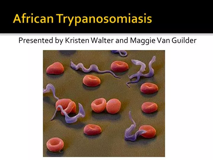african trypanosomiasis
