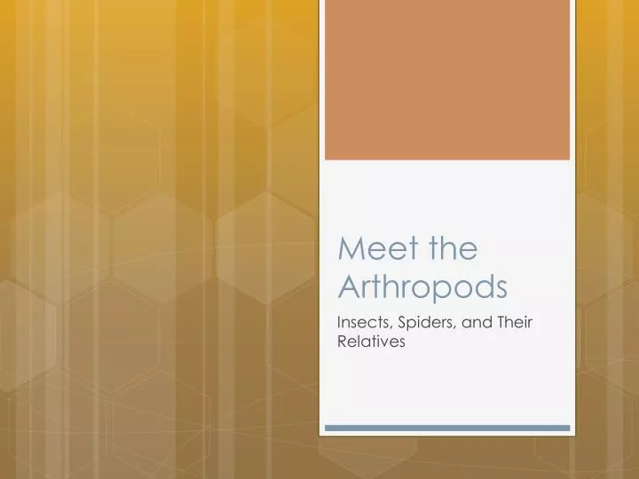 meet the arthropods