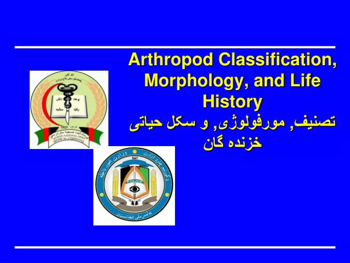 arthropod classification morphology and life history