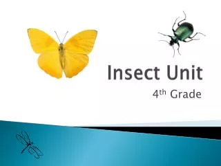 Insect Unit
